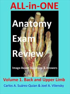 All-in-One  Anatomy Exam Review