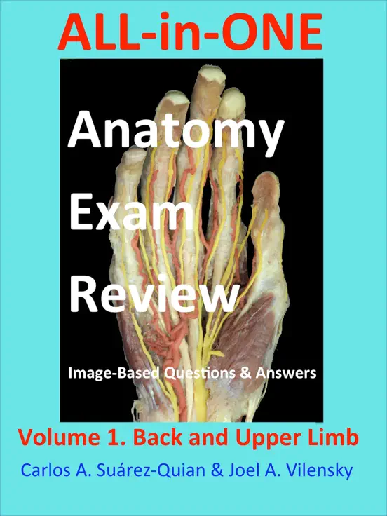All-in-One  Anatomy Exam Review