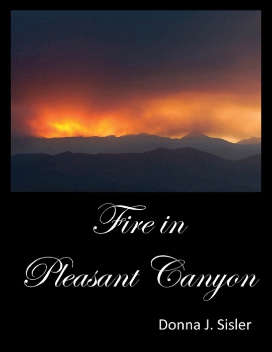 Fire in Pleasant Canyon