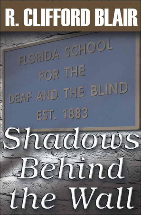 Shadows Behind the Wall