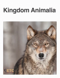 Kingdom Animalia by ETC Montessori