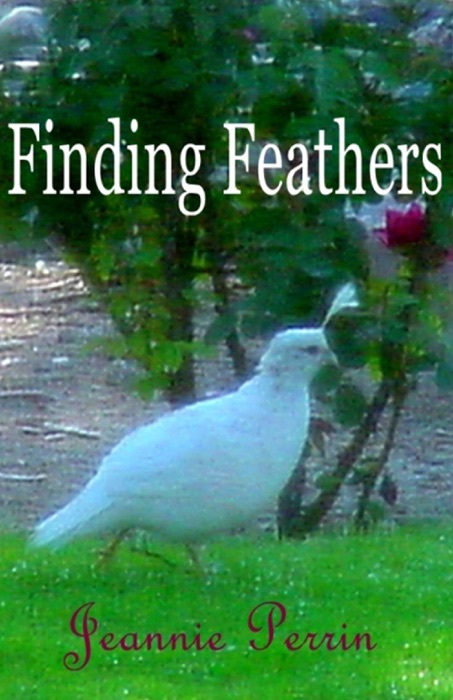 Finding Feathers