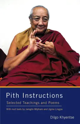 Read: Pith Instructions Book