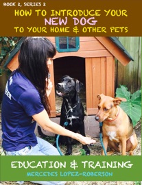 How to Introduce Your New Pet to Your Home & Other Pets - Mercedes Lopez-Roberson