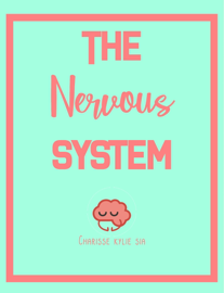 The Nervous System