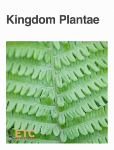 Kingdom Plantae