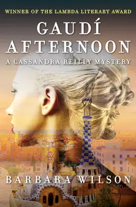 Read: Gaudí Afternoon Book