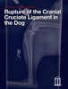 Book Rupture of the Cranial Cruciate Ligament in the Dog
