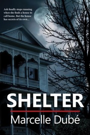 Shelter - Marcelle Dubé