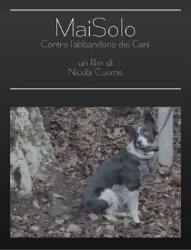 Nicola cuomo