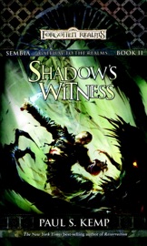 Shadow's Witness - Paul S. Kemp