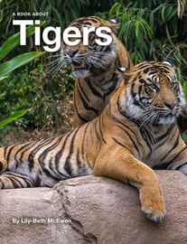 Tigers - Lily-Beth McEwen
