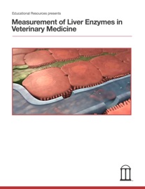 Measurement of Liver Enzymes in Veterinary Medicine - Educational Resources, University of Georgia