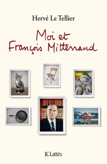 Moi et François Mitterrand by Hervé Le Tellier