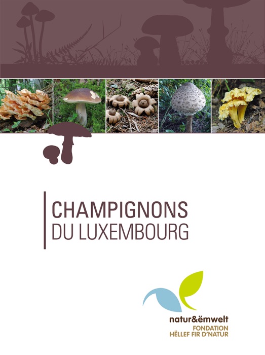 Champignons du Luxembourg