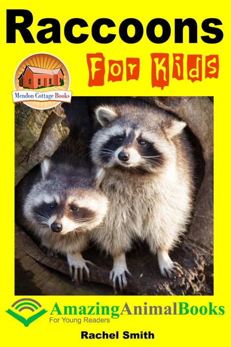 Raccoons For Kids