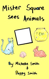Mister Square Sees Animals - Michelle Smith & Poppy Smith