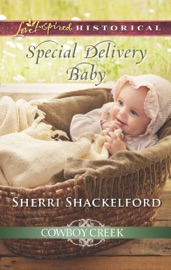 Special Delivery Baby - Sherri Shackelford