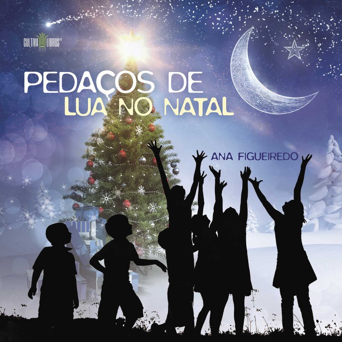 Pedaços de lua no Natal