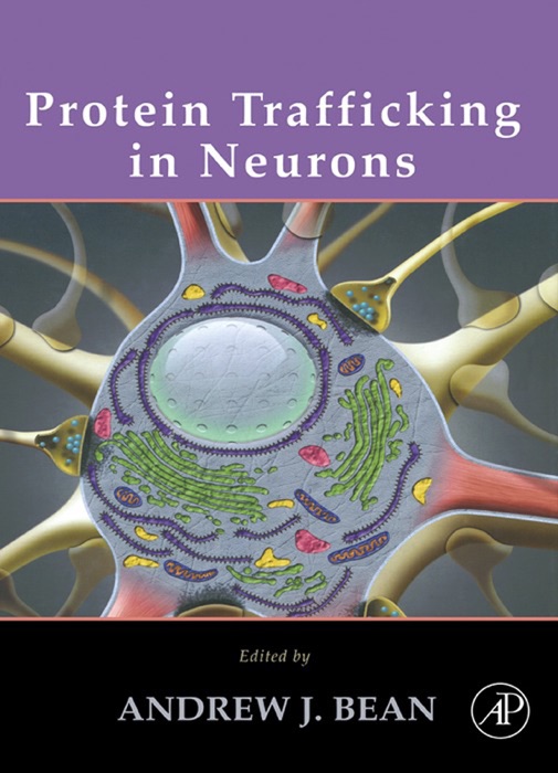 Protein Trafficking in Neurons