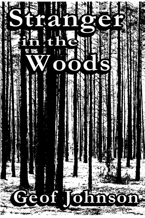 Stranger in the Woods
