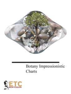 Botany Impressionistic Charts