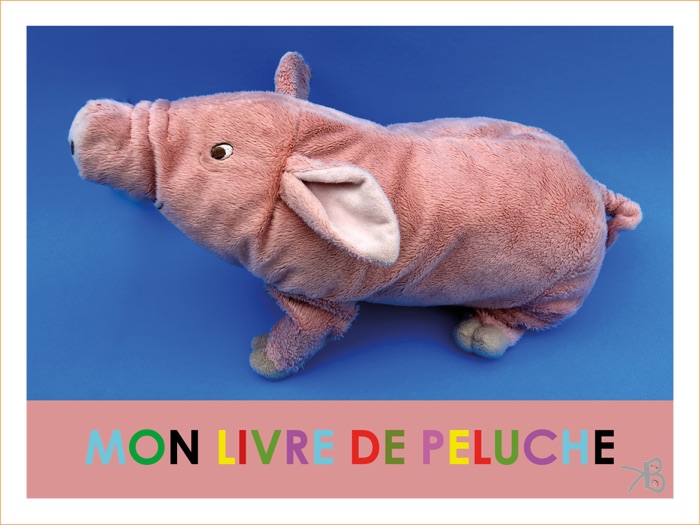 Mon livre de peluche