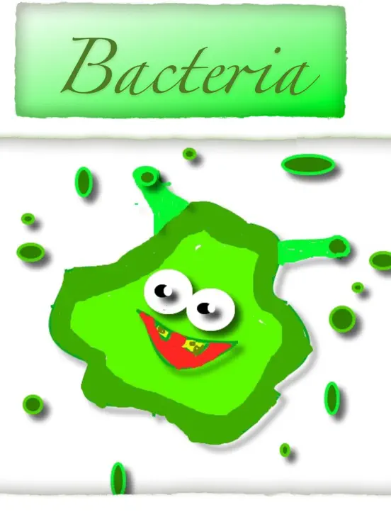 Bacteria