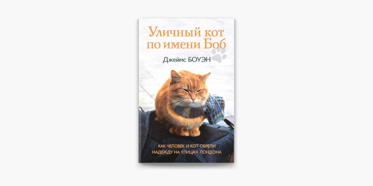 демотиватор человек и кот обрели надежду на улицах лондона понял