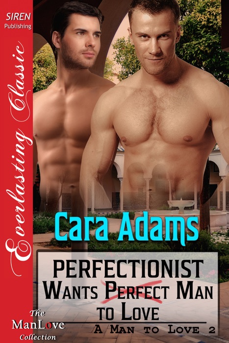 Perfectionist Wants Perfect Man to Love [A Man to Love 2]