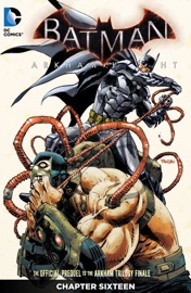 Batman: Arkham Knight (2015-) #16 - Peter J. Tomasi & Ig Guara