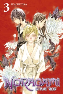 Noragami: Stray God Volume 3 by Adachitoka