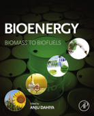 Bioenergy (Enhanced Edition) - Anju Dahiya