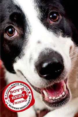 Read: Boy's Book Best Friend