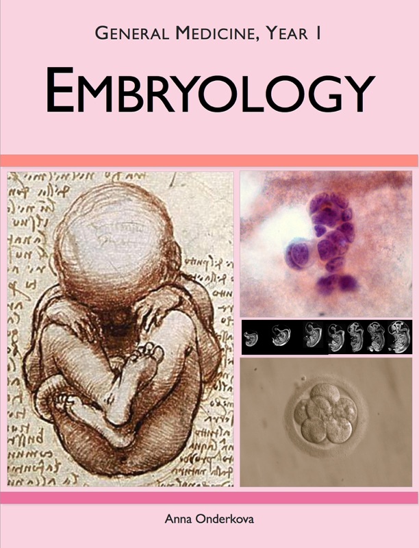 Embryology