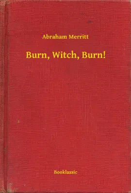 Read: Burn, Book Witch, Burn!