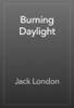 Book Burning Daylight