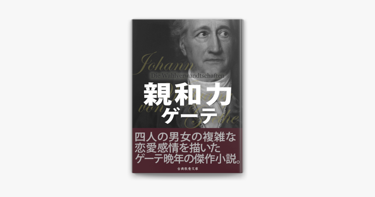 親和力 On Apple Books