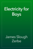 Electricity for Boys - James Slough Zerbe