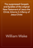 The suppressed Gospels and Epistles of the original New Testament of Jesus the Christ, Volume 3, Infancy of Jesus Christ - William Wake