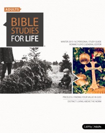 Bible Studies for Life: Adult Personal Study Guide - NIV - Ronnie W. Floyd, Grant Ethridge & Michael Kelley