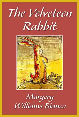 Read: The Book Velveteen Rabbit