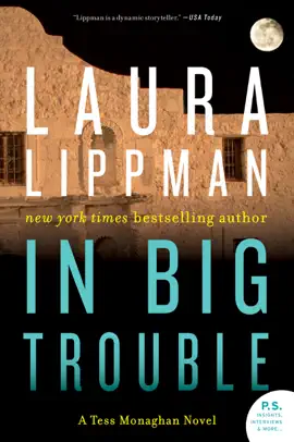 Read: In Big Trouble Book