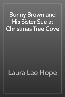 Bunny Brown and His Sister Sue at Christmas Tree Cove by Laura Lee Hope