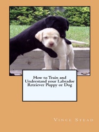 How to Train and Understand your Labrador Retriever Puppy or Dog - Vince Stead