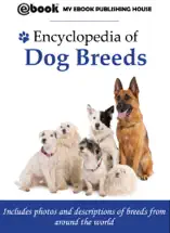 Encyclopedia of Dog Breeds