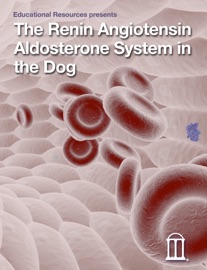 Renin Angiotensin Aldosterone System in the Dog - Educational Resources, University of Georgia