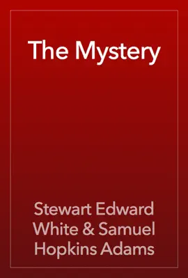 Read: The Book Mystery