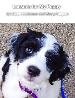 Lessons for My Puppy by Eileen Anderson & Marge Rogers