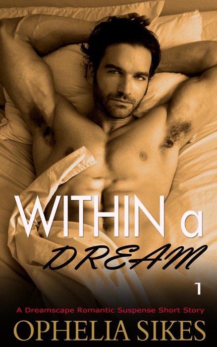 Within a Dream - a Boston FBI Romantic Suspense Short Story